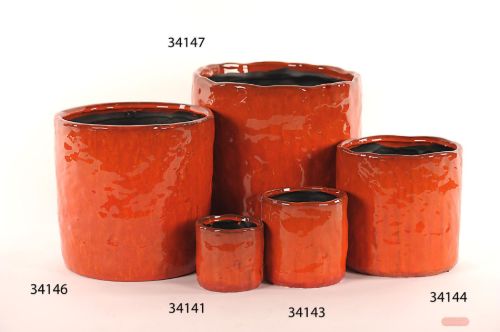 Bild von Blumentopf, Botanical Ø11x H10.5cm, mandarin red