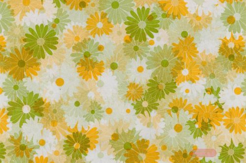 Bild von Blm-Papier,  75cm - Blütenspiele, zaubernuss