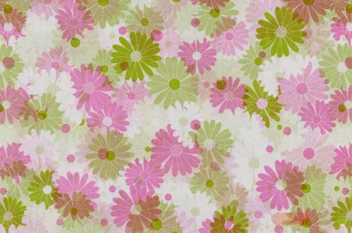 Bild von Blm-Papier,  75cm - Blütenspiele, syringa