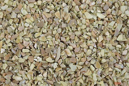 Bild von Muschelgrit, 550gr, pistacchio