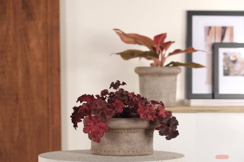 Bild von BlumenSchale, Terrazza Keramik Ø21x H10.2cm, h'braun