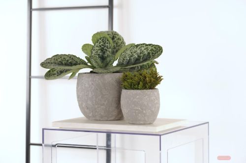 Bild von Blumentopf, Ardosa Zement Ø11.5x H10.5cm, grau