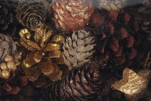 Bild von Festive Exotic, L12x 6x H20cm, orange/gold