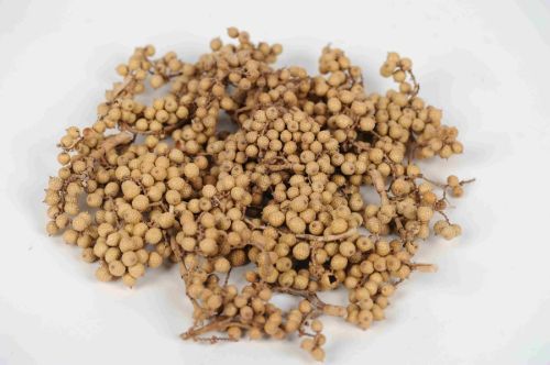 Bild von Canella 500gr, gelb