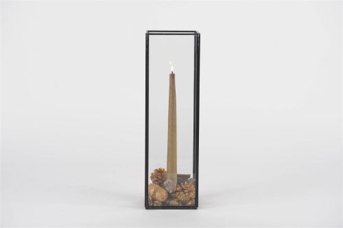 Bild von Vitrine, L12x 12x H40cm, burn antik